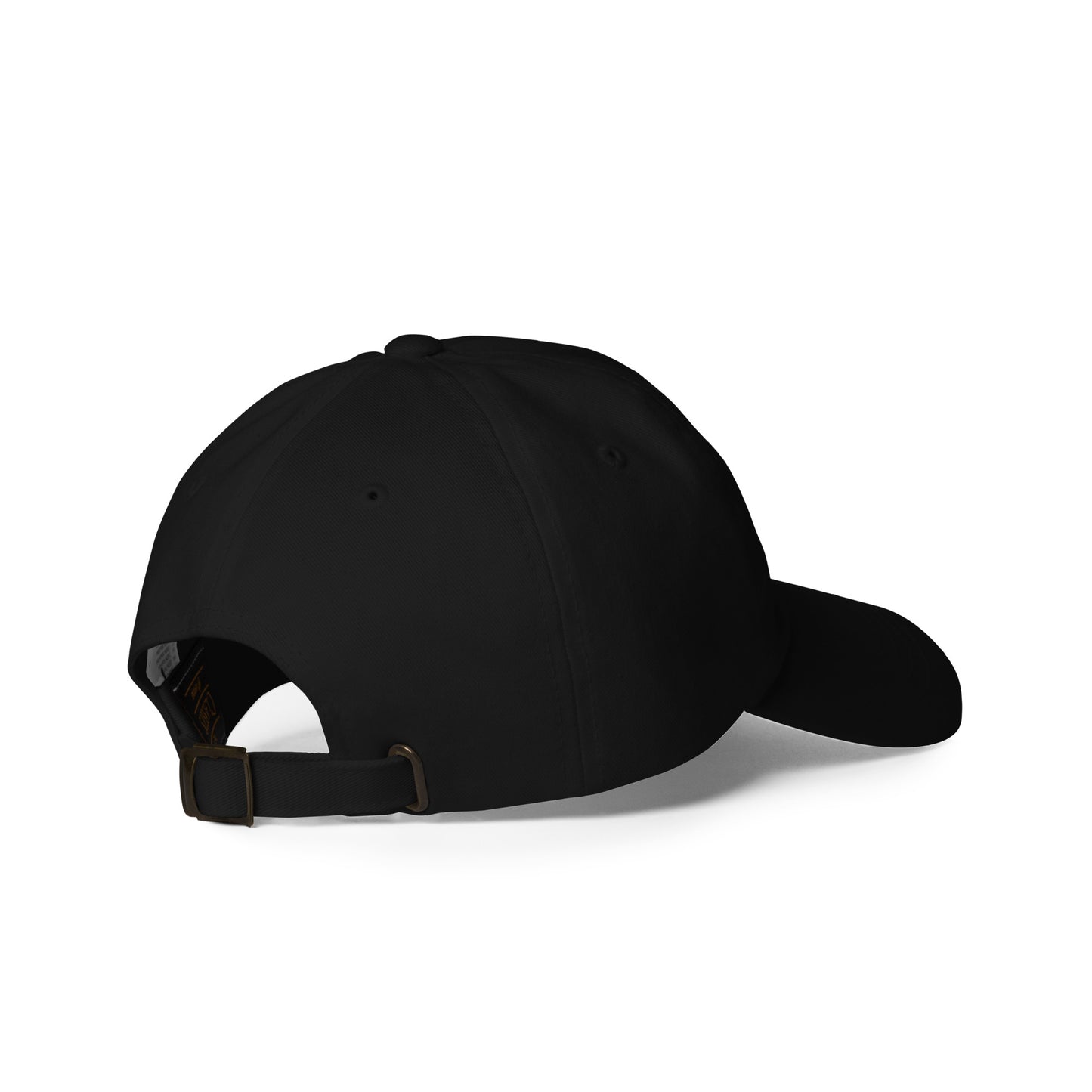 Dreamer Athletics Paneled Cap